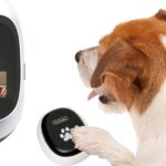 10 ideas creativas para accesorios de mascotas