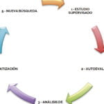 El impacto de la autonomía en esta etapa de la vida