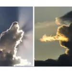 Fenómenos visuales sorprendentes con luz y objetos