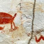 La conexión sagrada entre reptiles y pueblos indígenas: visión cósmica