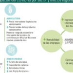 La economía del sector alimentario y de la restauración en la era post-pandemia