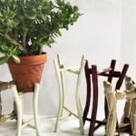 Opciones para excedentes de plantas de jardín: ¿regalar o vender?