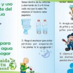 Tips prácticos para ahorrar agua en casa y proteger el medio ambiente
